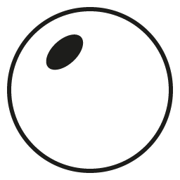 Basic CR39 Lens