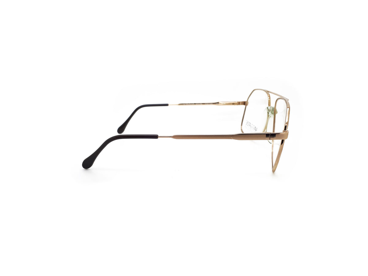 Luxotica - STEVEN TORTOISE