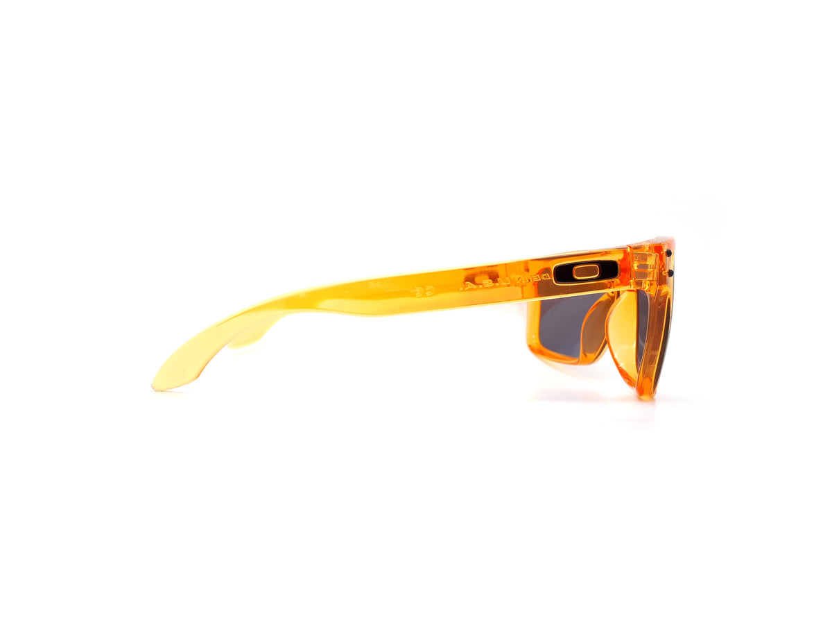 Oakley - Holbrook OO9102-31