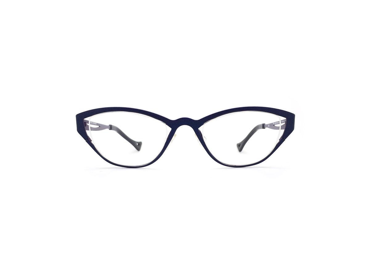 Theo - 310 observation