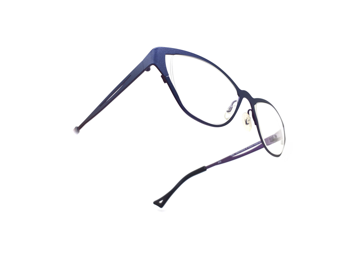 Theo - 310 observation