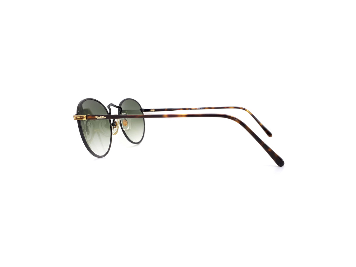 BlueBay by Safilo - VENICE N E66