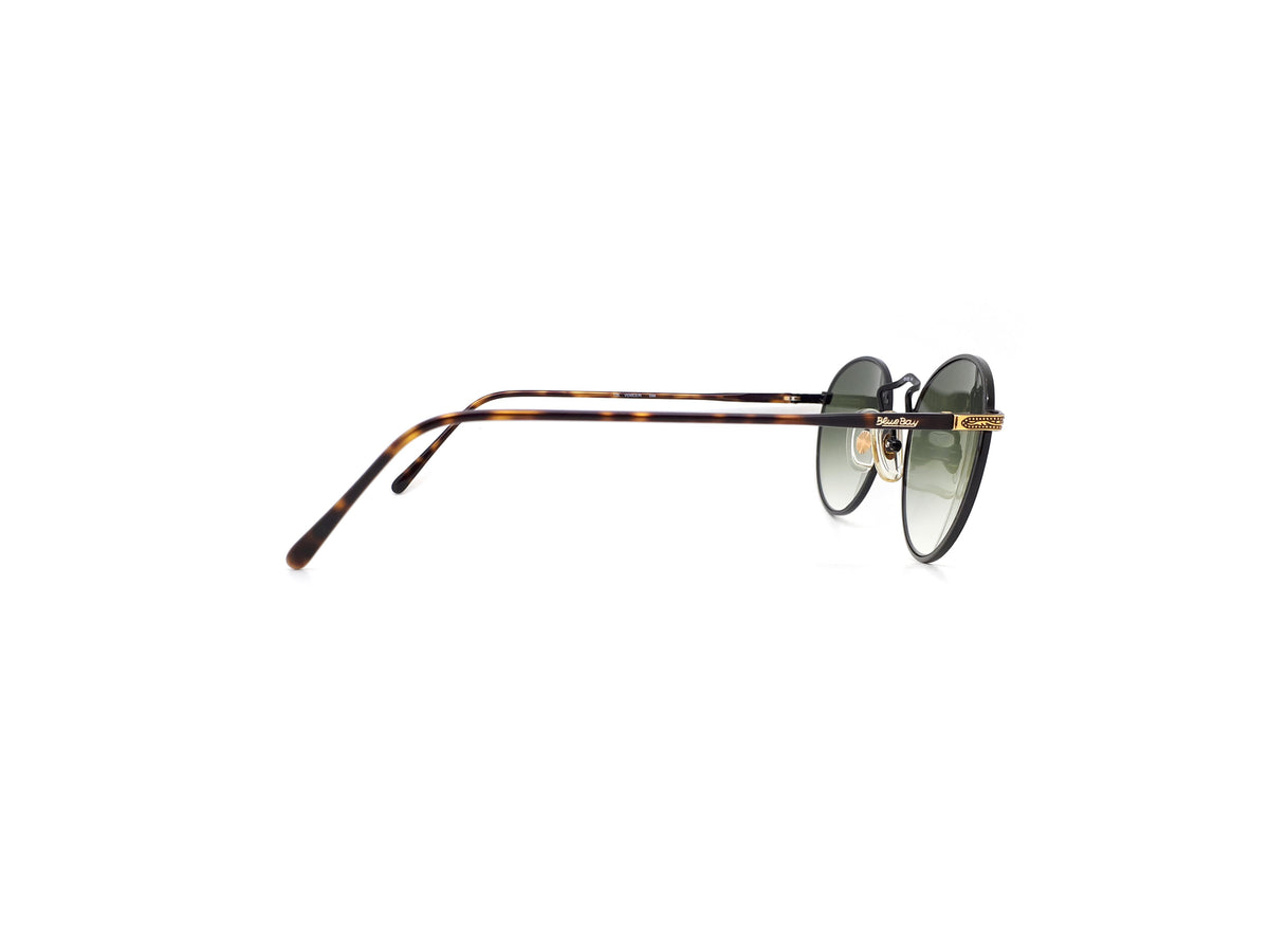 BlueBay by Safilo - VENICE N E66