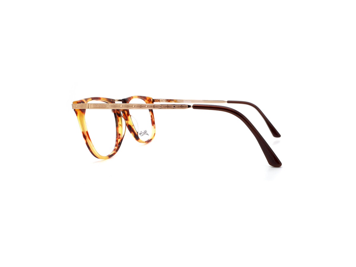 BlueBay by Safilo - NAIROBI