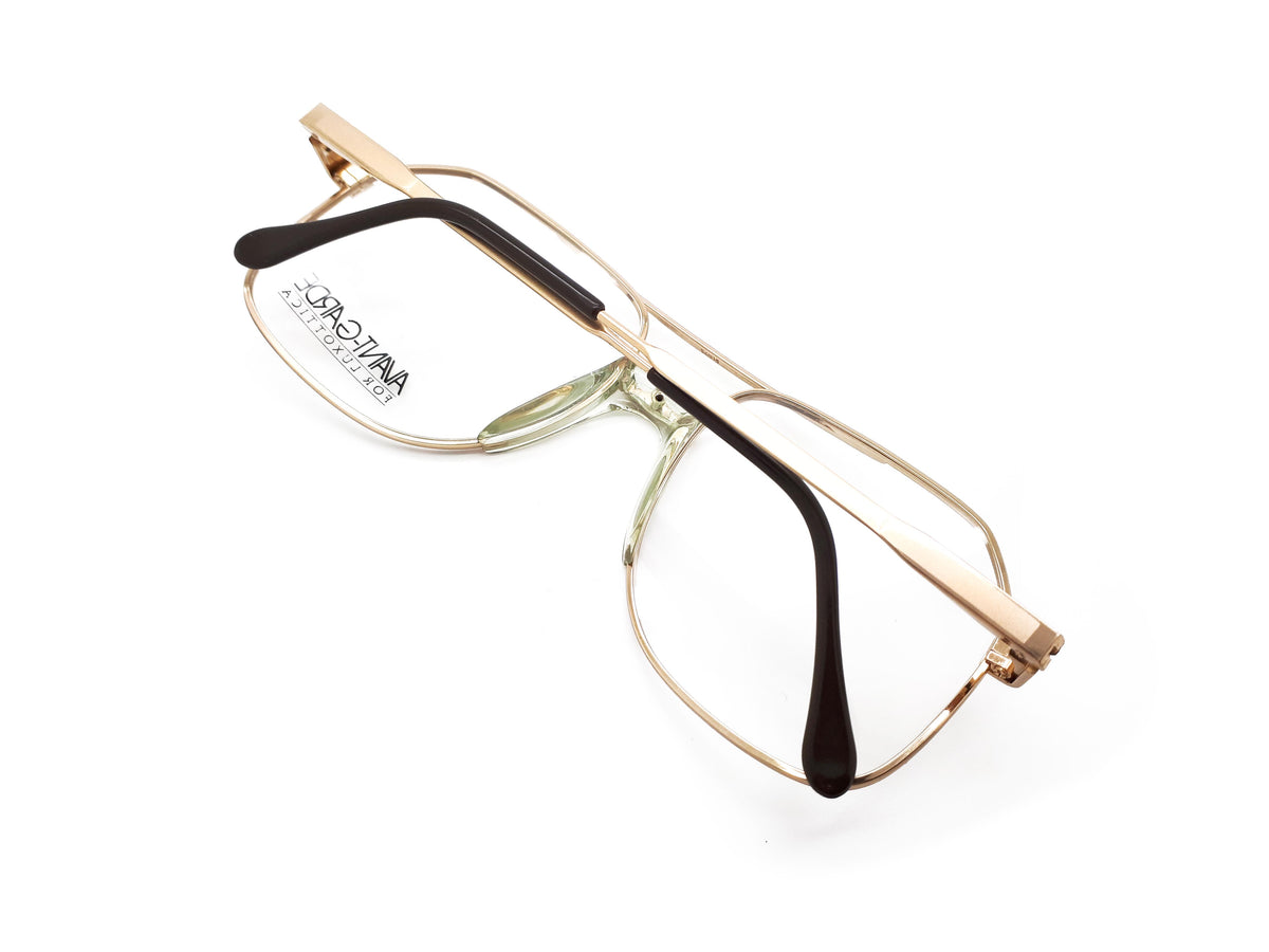 Luxotica - STEVEN TORTOISE