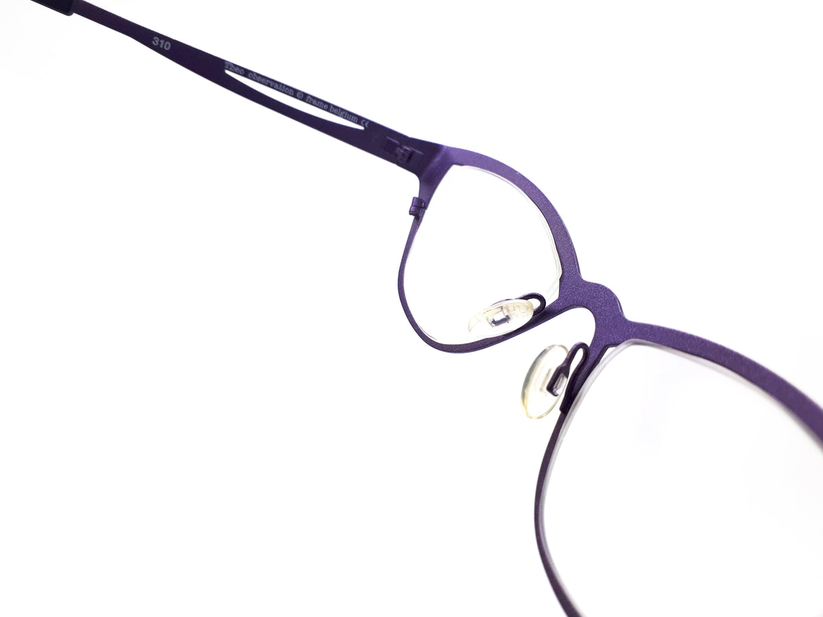 Theo - 310 observation
