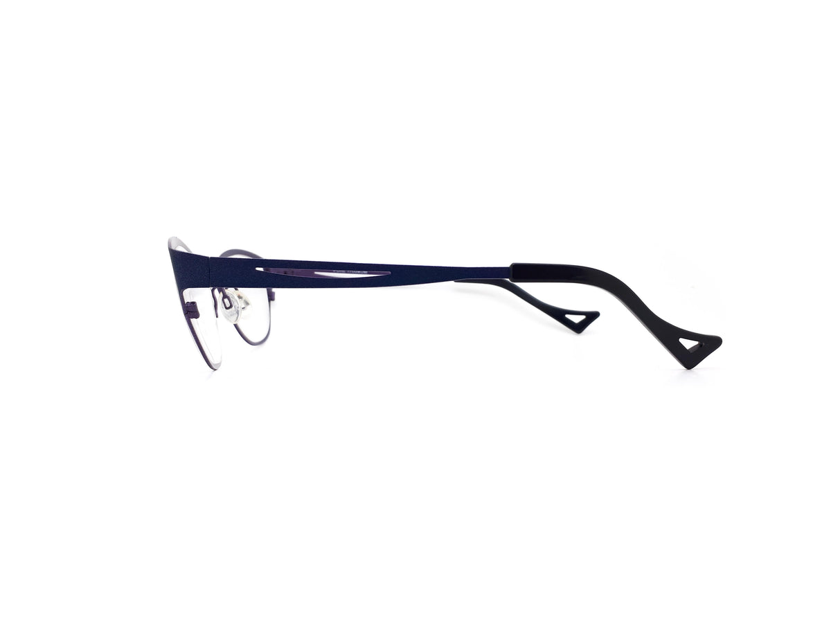 Theo - 310 observation